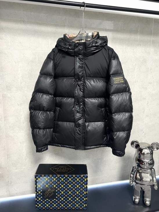 Picture of Burberry Down Jackets _SKUBurberrysz46-54xetr17637952